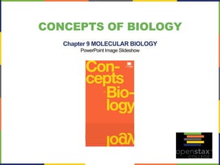 CONCEPTS OF BIOLOGY 
Chapter 9 MOLECULAR BIOLOGY 
PowerPoint Image Slideshow  