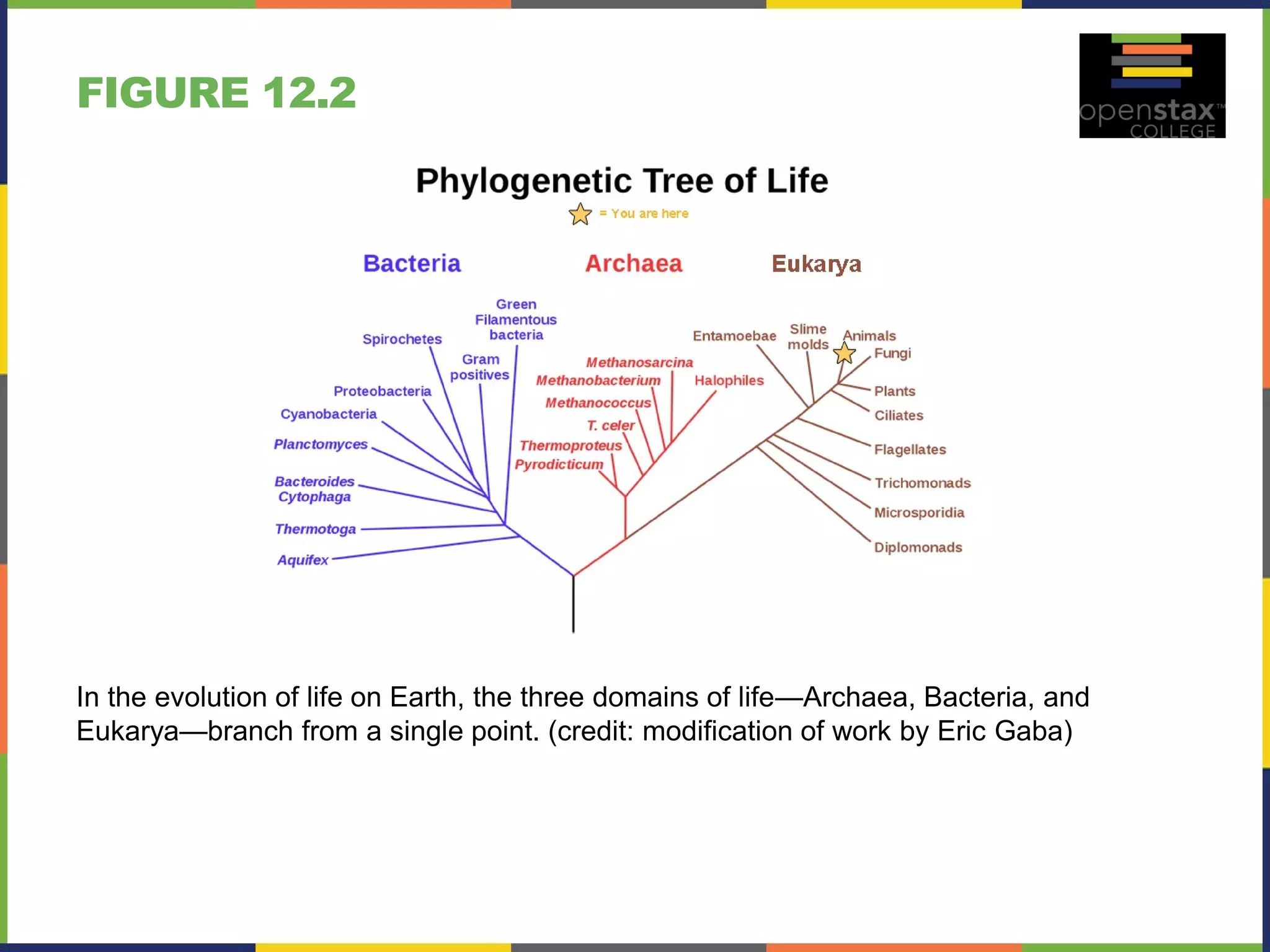 Open stax biology(nonmajors) ch12 PDF