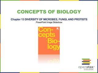 CONCEPTS OF BIOLOGY 
Chapter 13 DIVERSITY OF MICROBES, FUNGI, AND PROTISTS 
PowerPoint Image Slideshow 
 