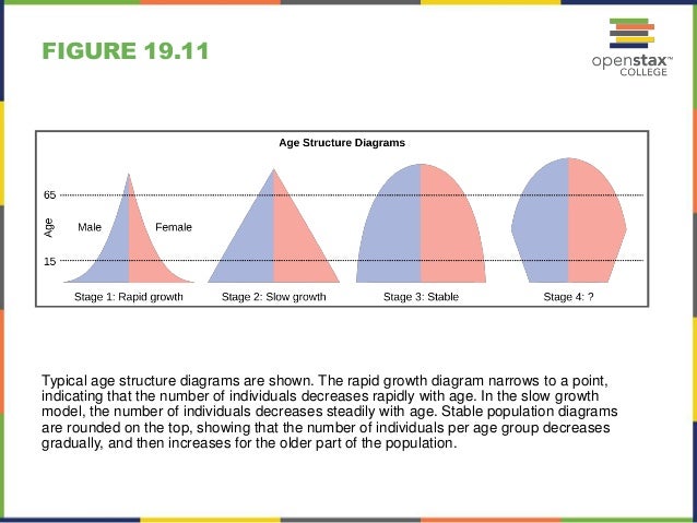 Wiring Diagram 31 Age Structure Diagram Definition Biology