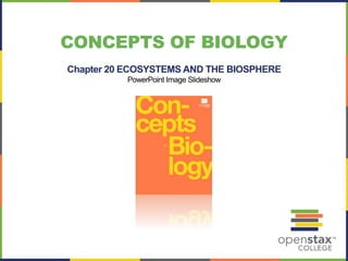 CONCEPTS OF BIOLOGY 
Chapter 20 ECOSYSTEMS AND THE BIOSPHERE 
PowerPoint Image Slideshow 
 
