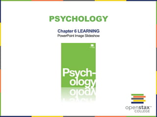 PSYCHOLOGY
Chapter 6 LEARNING
PowerPoint Image Slideshow
 
