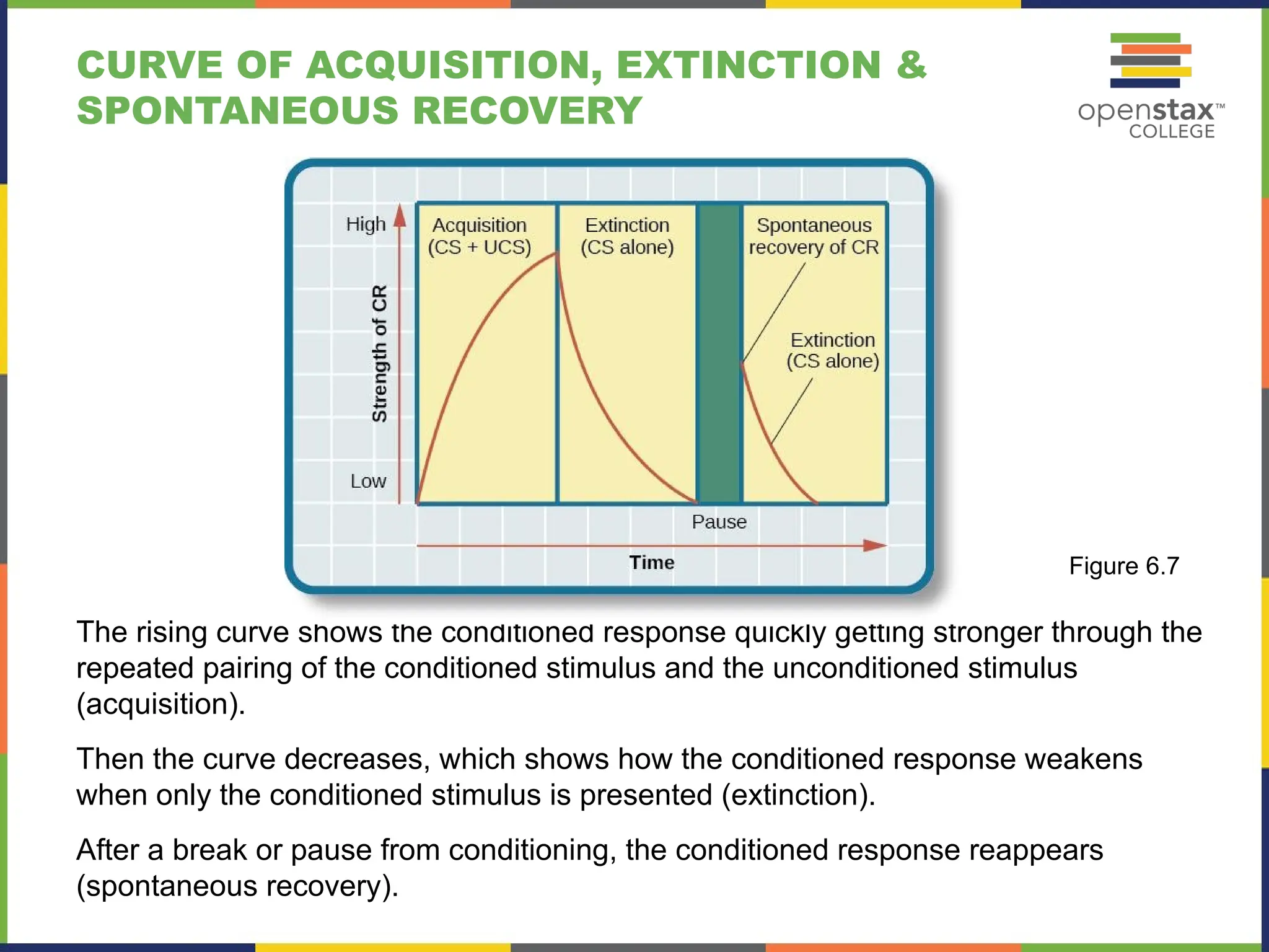 CURVE OF ACQUISITION, EXTINCTION &
SPONTANEOUS RECOVERY
The rising curve shows the conditioned response quickly getting stronger through the
repeated pairing of the conditioned stimulus and the unconditioned stimulus
(acquisition).
Then the curve decreases, which shows how the conditioned response weakens
when only the conditioned stimulus is presented (extinction).
After a break or pause from conditioning, the conditioned response reappears
(spontaneous recovery).
Figure 6.7
 