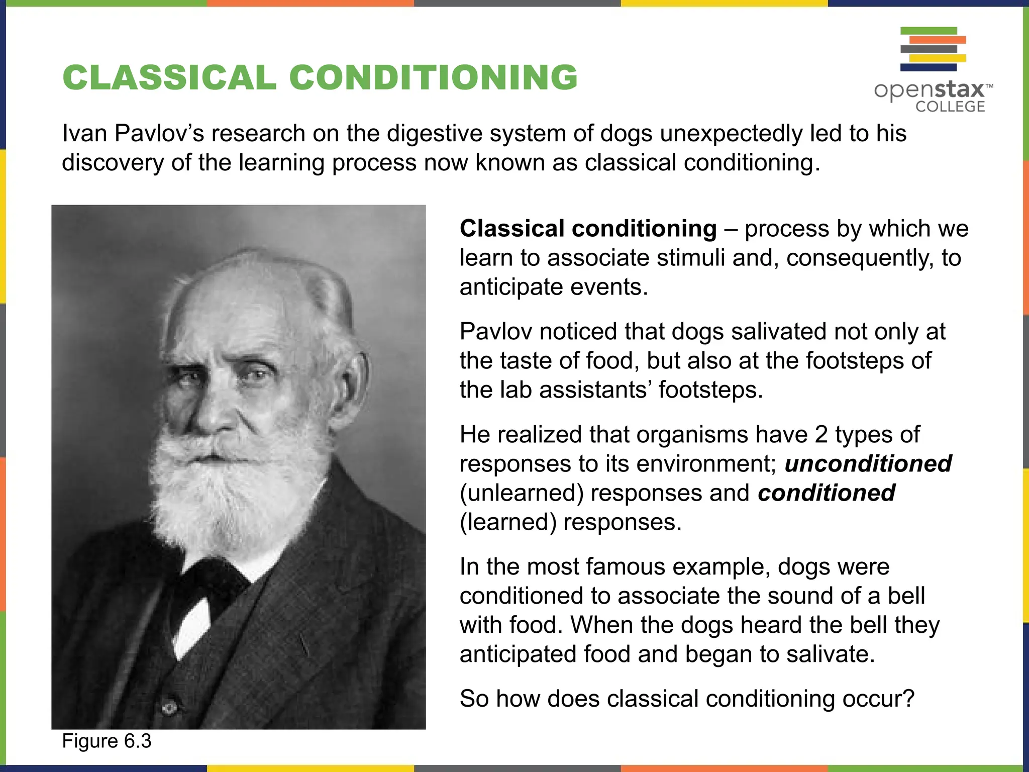 CLASSICAL CONDITIONING
Classical conditioning – process by which we
learn to associate stimuli and, consequently, to
anticipate events.
Pavlov noticed that dogs salivated not only at
the taste of food, but also at the footsteps of
the lab assistants’ footsteps.
He realized that organisms have 2 types of
responses to its environment; unconditioned
(unlearned) responses and conditioned
(learned) responses.
In the most famous example, dogs were
conditioned to associate the sound of a bell
with food. When the dogs heard the bell they
anticipated food and began to salivate.
So how does classical conditioning occur?
Figure 6.3
Ivan Pavlov’s research on the digestive system of dogs unexpectedly led to his
discovery of the learning process now known as classical conditioning.
 