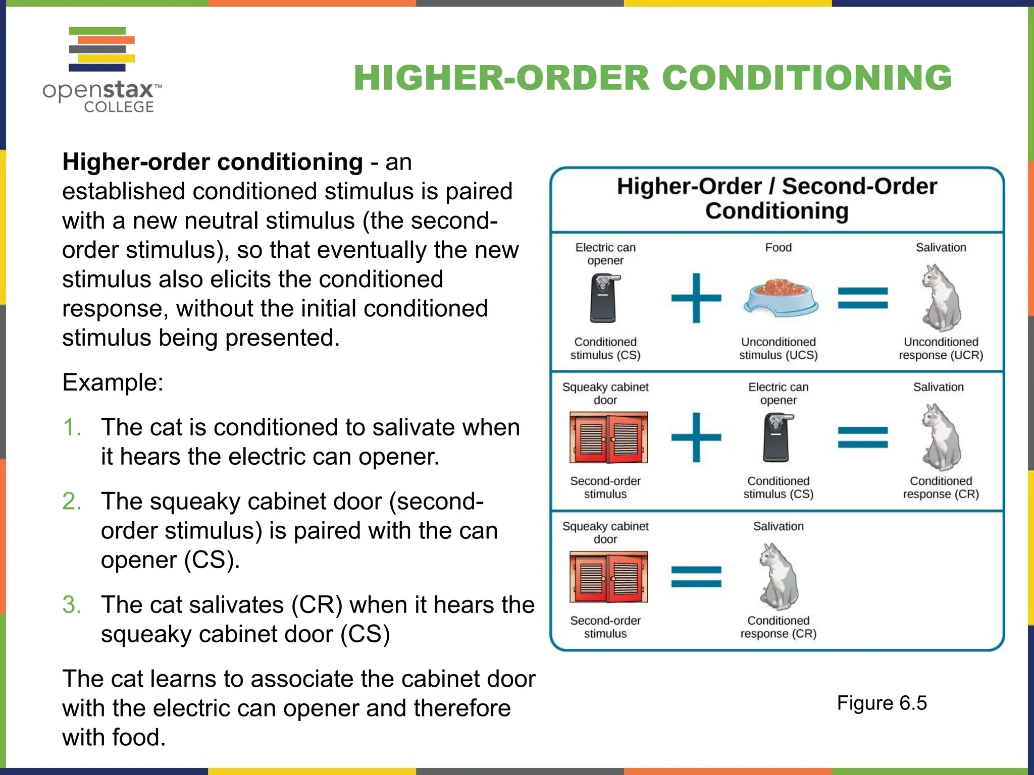 HIGHER-ORDER CONDITIONING
Higher-order conditioning - an
established conditioned stimulus is paired
with a new neutral stimulus (the second-
order stimulus), so that eventually the new
stimulus also elicits the conditioned
response, without the initial conditioned
stimulus being presented.
Example:
1. The cat is conditioned to salivate when
it hears the electric can opener.
2. The squeaky cabinet door (second-
order stimulus) is paired with the can
opener (CS).
3. The cat salivates (CR) when it hears the
squeaky cabinet door (CS)
The cat learns to associate the cabinet door
with the electric can opener and therefore
with food.
Figure 6.5
 