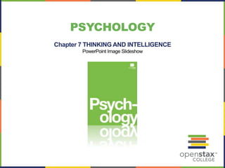PSYCHOLOGY
Chapter 7 THINKING AND INTELLIGENCE
PowerPoint Image Slideshow
 