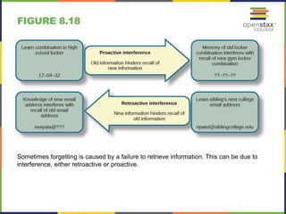 FIGURE 8.18
Sometimes forgetting is caused by a failure to retrieve information. This can be due to
interference, either retroactive or proactive.
 