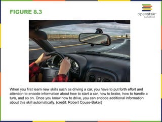 FIGURE 8.3
When you first learn new skills such as driving a car, you have to put forth effort and
attention to encode information about how to start a car, how to brake, how to handle a
turn, and so on. Once you know how to drive, you can encode additional information
about this skill automatically. (credit: Robert Couse-Baker)
 