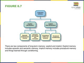 FIGURE 8.7
There are two components of long-term memory: explicit and implicit. Explicit memory
includes episodic and semantic memory. Implicit memory includes procedural memory
and things learned through conditioning.
 