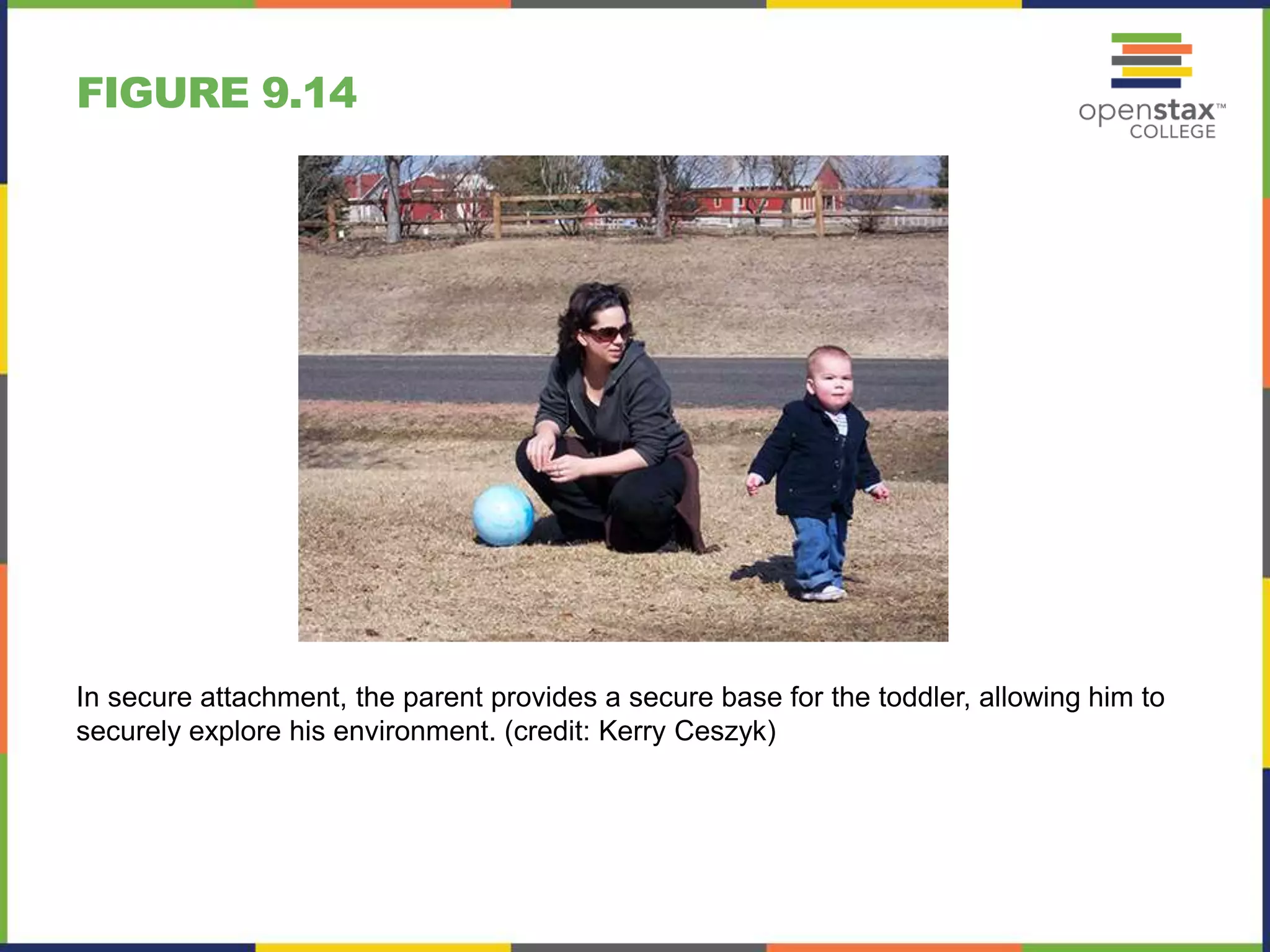 FIGURE 9.14
In secure attachment, the parent provides a secure base for the toddler, allowing him to
securely explore his environment. (credit: Kerry Ceszyk)
 
