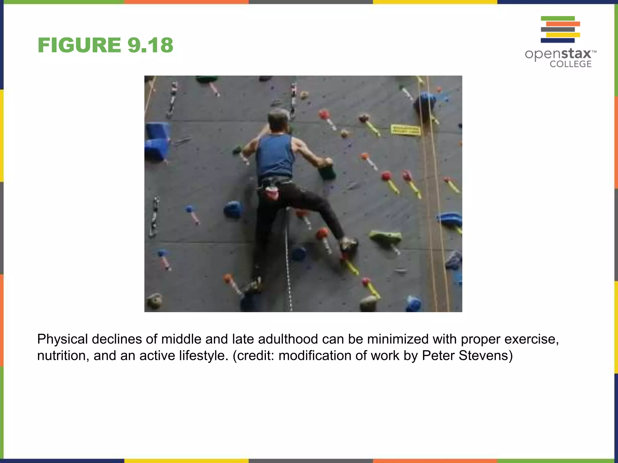 FIGURE 9.18
Physical declines of middle and late adulthood can be minimized with proper exercise,
nutrition, and an active lifestyle. (credit: modification of work by Peter Stevens)
 