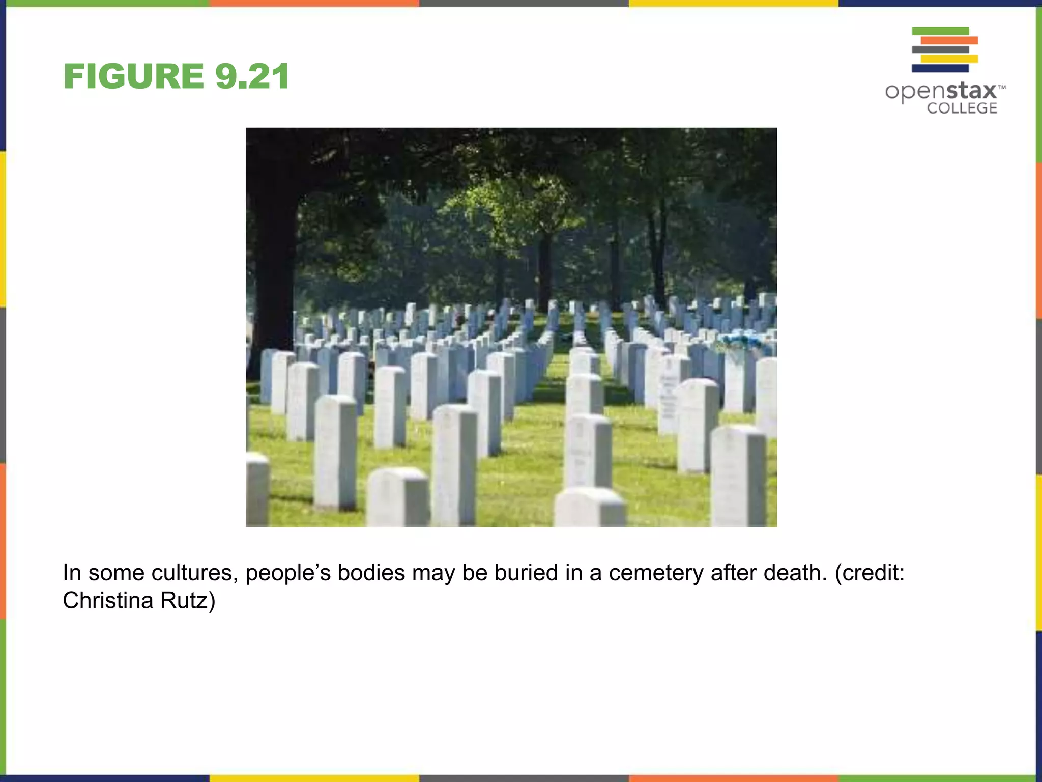 FIGURE 9.21
In some cultures, people’s bodies may be buried in a cemetery after death. (credit:
Christina Rutz)
 