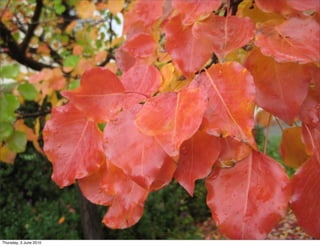 Thursday, 3 June 2010
 