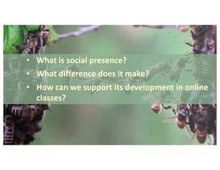 Karen Swan: Social presence in online learning: what’s the big deal? | PDF