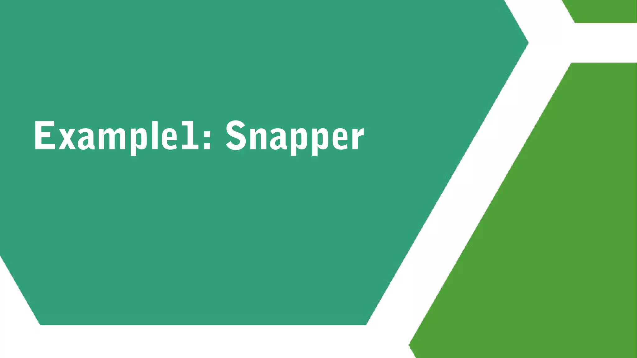Example1: Snapper
 