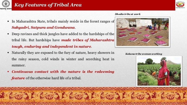 Tribes of Maharashtra