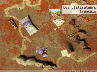 Les utilisateurs
        français




                                    16
CC-BY-NC-SA // Eric Delcroix // Flickr
 