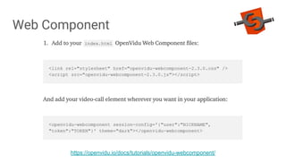 Web Component
https://openvidu.io/docs/tutorials/openvidu-webcomponent/
 