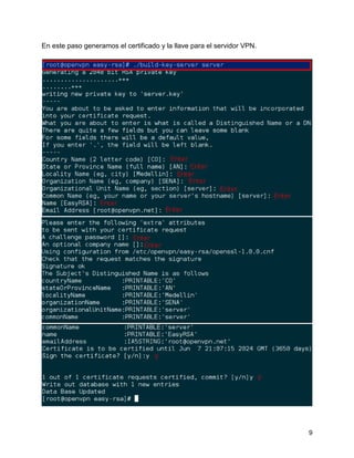 9
En este paso generamos el certificado y la llave para el servidor VPN.
 