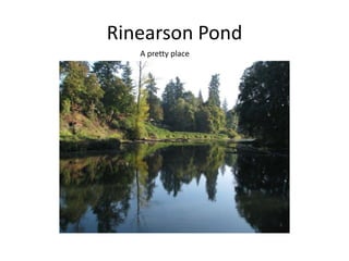 Rinearson Pond A pretty place 