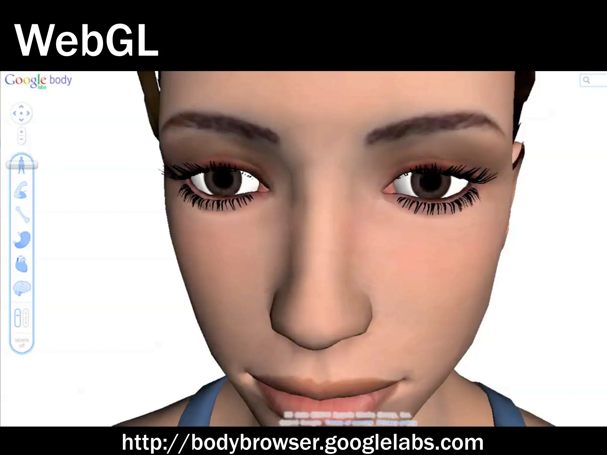 WebGL




   http://bodybrowser.googlelabs.com
 