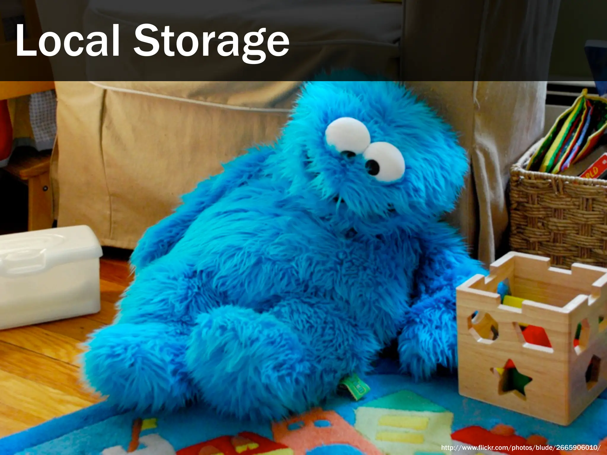 Local Storage




                http://www.flickr.com/photos/blude/2665906010/
 