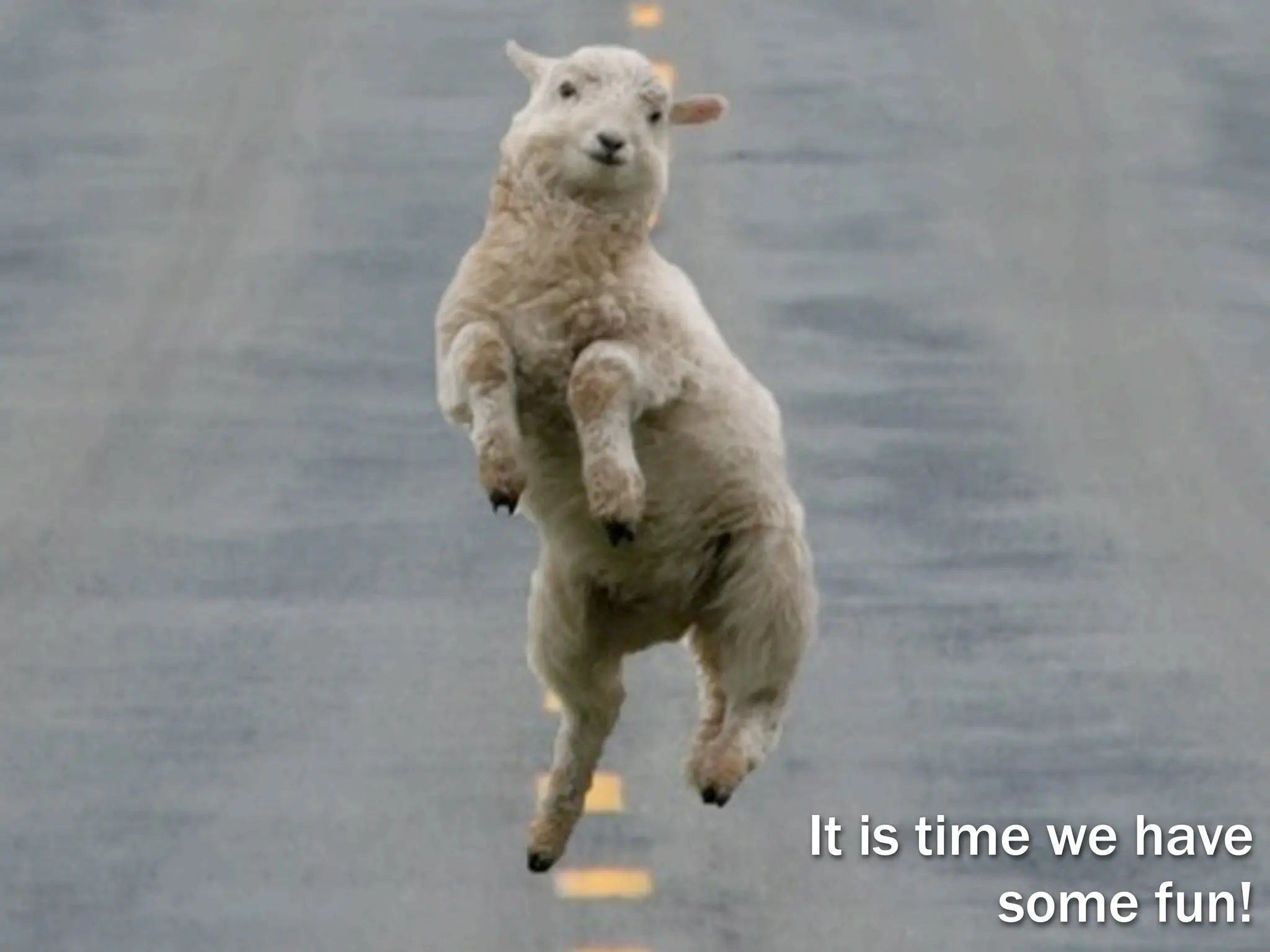 It is time we have
         some fun!
 