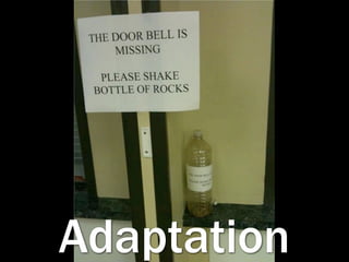 Adaptation
 