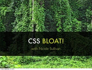Nicole Sullivan Css