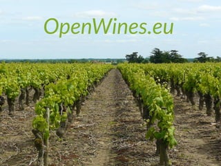 OpenWines.eu
 