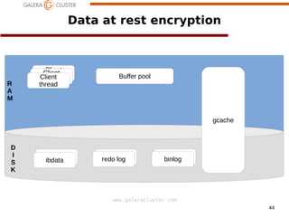 44
www.galeracluster.com
R
A
M
Data at rest encryption
Client
thread
Client
threadClient
thread
Buffer pool
gcache
ibdataibdata redo logredo log redo logbinlog
D
I
S
K
 