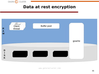45
www.galeracluster.com
R
A
M
Data at rest encryption
Client
thread
Client
threadClient
thread
Buffer pool
gcache
D
I
S
K
ibdataibdata redo logredo log redo logbinlog
 