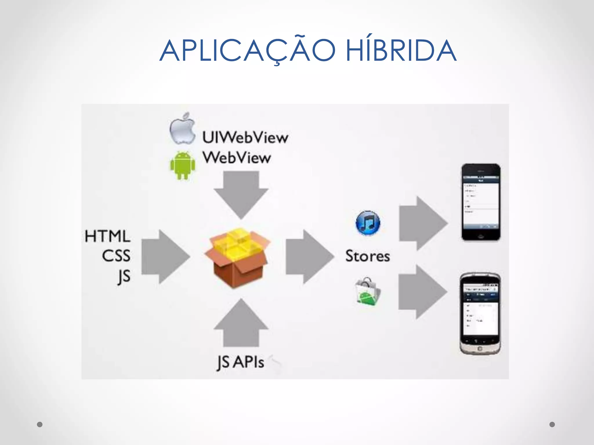 APLICAÇÃO HÍBRIDA