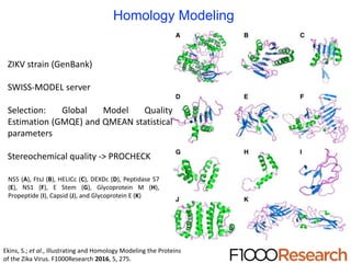 ZIKV strain (GenBank)
SWISS-MODEL server
Selection: Global Model Quality
Estimation (GMQE) and QMEAN statistical
parameters
Stereochemical quality -> PROCHECK
NS5 (A), FtsJ (B), HELICc (C), DEXDc (D), Peptidase S7
(E), NS1 (F), E Stem (G), Glycoprotein M (H),
Propeptide (I), Capsid (J), and Glycoprotein E (K)
Ekins, S.; et al., Illustrating and Homology Modeling the Proteins
of the Zika Virus. F1000Research 2016, 5, 275.
Homology Modeling
 