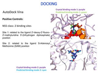 Positive Controls:
NS5 class: 2 binding sites
Site 1: related to the ligand 2′-deoxy-2′-fluoro-
2′-methyluridine 5′-(trihydrogen diphosphate)
position
Site 2: related to the ligand S-Adenosyl
Methionine (SAM) position
DOCKING
Crystal binding mode 2: purple
Predicted binding mode 2: cyan
Crystal binding mode 1: purple
Predicted binding mode 1: greenAutoDock Vina
 