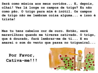 Será como música aos meus ouvidos... E,   depois,
olhai! Ves lá longe os campos de trigo?   Eu não
como pão. O trigo para mim é inútil. Os   campos
de trigo não me lembram coisa alguma...   e isso é
triste!


Mas tu tens cabelos cor de ouro. Então, será
maravilhoso quando me tiveres cativado. O trigo,
que é dourado, fará lembrar-me de ti... E eu
amarei o som do vento que passa no trigueiral...


   Por Favor,
  Cativa-me!!!
 