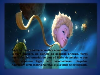 Pude bem cedo conhecer melhor aquela flor.
Sempre houvera, no planeta do pequeno príncipe, flores
muito simples, ornadas de uma só fileira de pétalas, e que
não ocupavam lugar nem incomodavam ninguém.
Apareciam certa manhã na relva, e já à tarde se extinguiam.
 