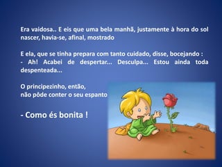 Era vaidosa.. E eis que uma bela manhã, justamente à hora do sol
nascer, havia-se, afinal, mostrado
E ela, que se tinha prepara com tanto cuidado, disse, bocejando :
- Ah! Acabei de despertar... Desculpa... Estou ainda toda
despenteada...
O principezinho, então,
não pôde conter o seu espanto :
- Como és bonita !
 