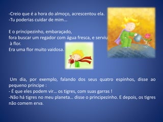 -Creio que é a hora do almoço, acrescentou ela.
-Tu poderias cuidar de mim...
E o príncipezinho, embaraçado,
fora buscar um regador com água fresca, e serviu
à flor.
Era uma flor muito vaidosa.
Um dia, por exemplo, falando dos seus quatro espinhos, disse ao
pequeno príncipe :
- É que eles podem vir… os tigres, com suas garras !
-Não há tigres no meu planeta… disse o principezinho. E depois, os tigres
não comem erva.
 