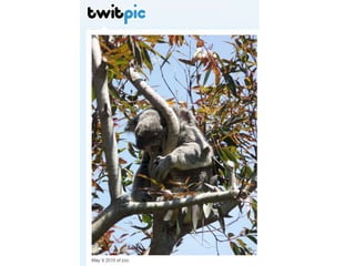 PrinciplesAlignment:   Social media strategy supports program or communications objectives