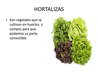 HORTALIZAS
• Son vegetales que se
cultivan en huertos y
campos para que
podamos su parte
comestible
 