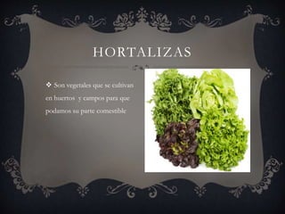  Son vegetales que se cultivan
en huertos y campos para que
podamos su parte comestible
HORTALIZAS
 