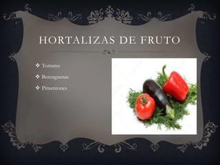  Tomates
 Berenguenas
 Pimentones
HORTALIZAS DE FRUTO
 