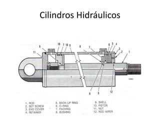 Cilindros Hidráulicos
 