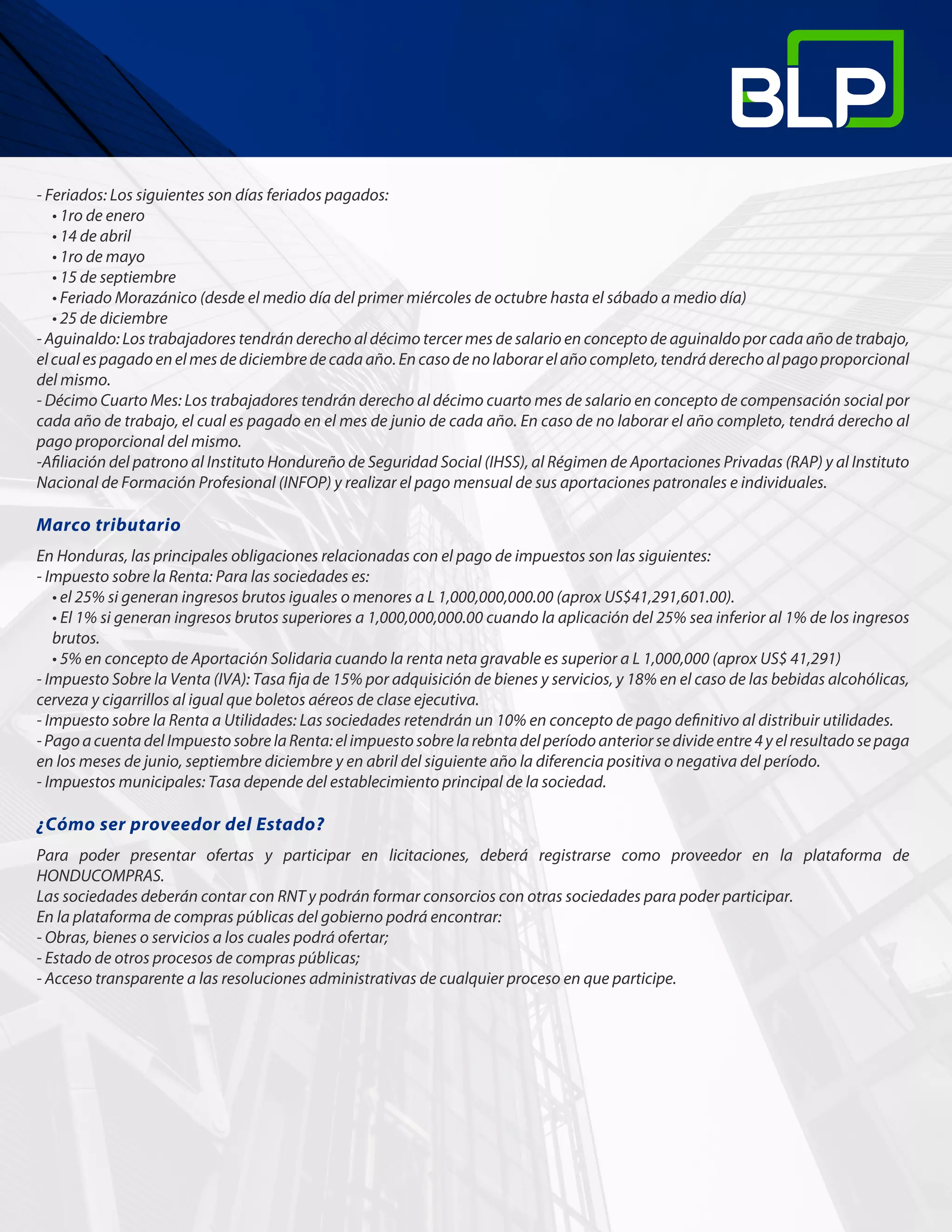Slide 11