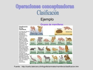 Ejemplo
Grupos de mamíferos:
Fuente: http://icarito.latercera.cl/infografia/animales/mamiferos/clasificacion.htm
 
