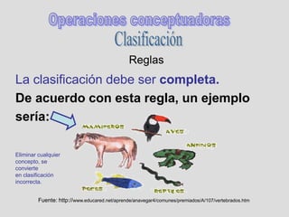 Reglas
La clasificación debe ser completa.
De acuerdo con esta regla, un ejemplo
sería:
Fuente: http://www.educared.net/aprende/anavegar4/comunes/premiados/A/107/vertebrados.htm
Eliminar cualquier
concepto, se
convierte
en clasificación
incorrecta.
 