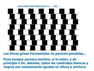 Las líneas grises horizontales no parecen paralelas...
Pues aunque parezca mentira, si lo están, y de
principio a fin. Además, todos los cuadrados blancos y
negros son exactamente iguales en altura y anchura.
¿LAS LÍNEAS SON PARALELAS? SI ...... NO.......
 