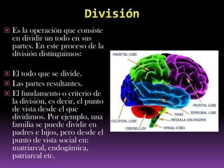  Es la operación que consiste
  en dividir un todo en sus
  partes. En este proceso de la
  división distinguimos:

 El todo que se divide.
 Las partes resultantes.
 El fundamento o criterio de
  la división, es decir, el punto
  de vista desde el que
  dividimos. Por ejemplo, una
  familia se puede dividir en
  padres e hijos, pero desde el
  punto de vista social en:
  matriarcal, endogámica,
  patriarcal etc.
 