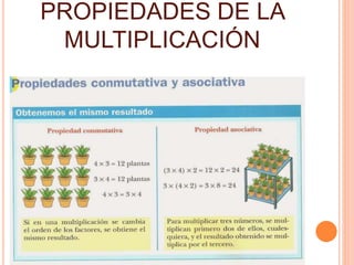 PROPIEDADES DE LA 
MULTIPLICACIÓN 
 